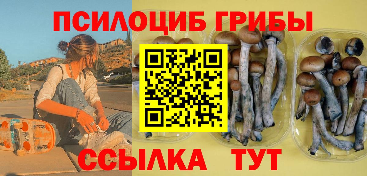 ГАШ  Конопля  Родники  КОКАИН  Гашиш  Меф   Вход с VPN 
