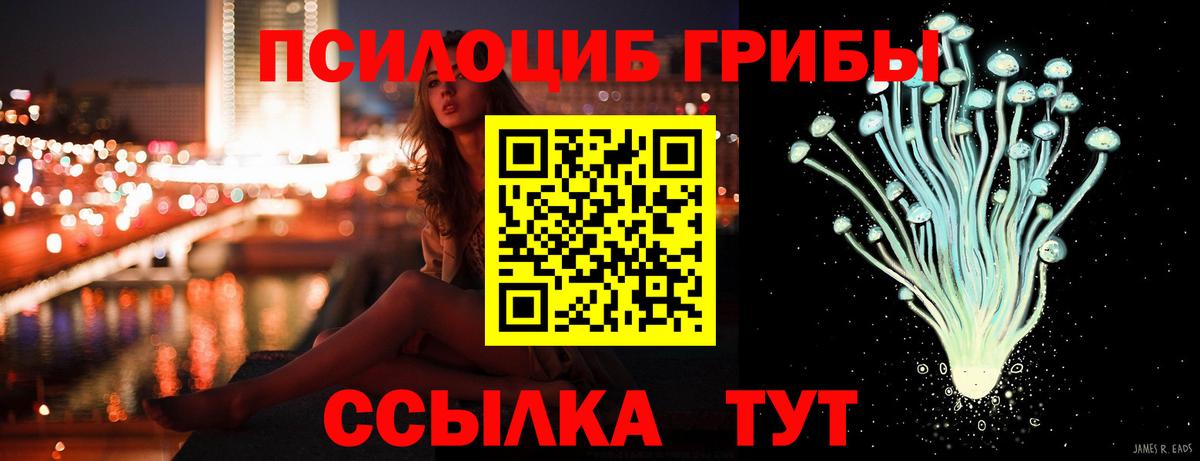 Родники  Галлюциногенные грибы GOLDEN TEACHER  Вход с VPN 